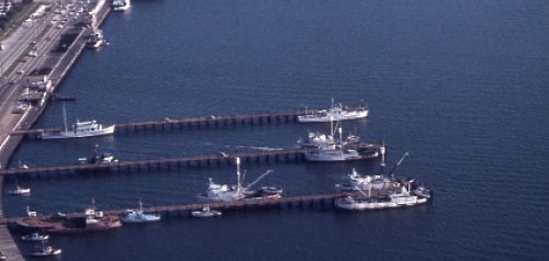 Harbor Drive 1969, Tuna Boats Docked