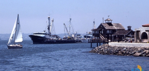 Tuna Boats in San Diego Bay at Seaport Village