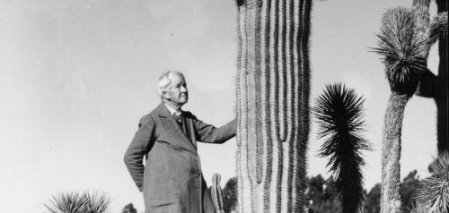 Kate Sessions near a Saguaro in Balboa Park Cactus Garden