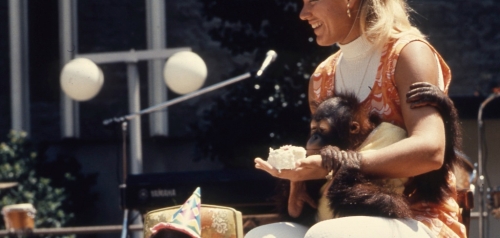 Joan Embery with Monkeys and the Zoo's Birthday Cake