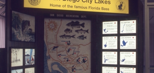 Recreation Department Display - Fish in San Diego Lakes