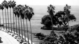 Ellen Browning Scripps Park, La Jolla Circa 1965