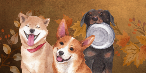 Illustration of 3 dogs