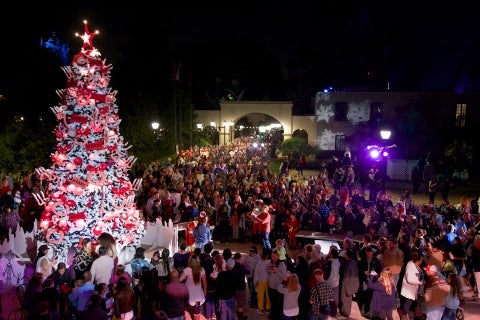 December Nights tree