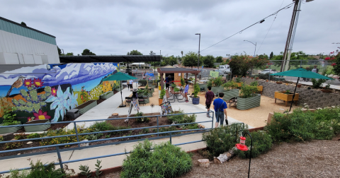 garden with a mural wall and accessible garden beds&#44; benches and shade coverings