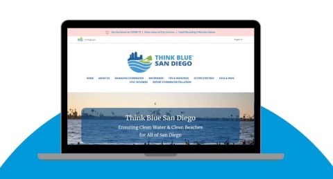 Computer screen showing Think Blue Website 