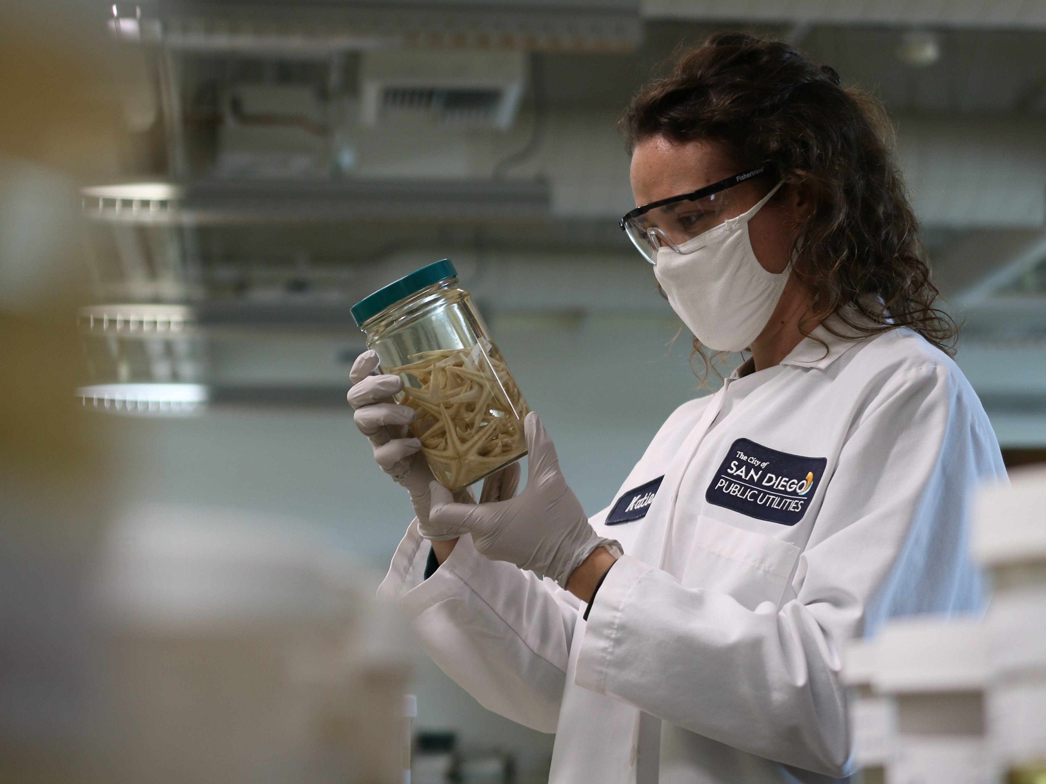 A marine biologist examines a sample for species characteristics and identifying features.