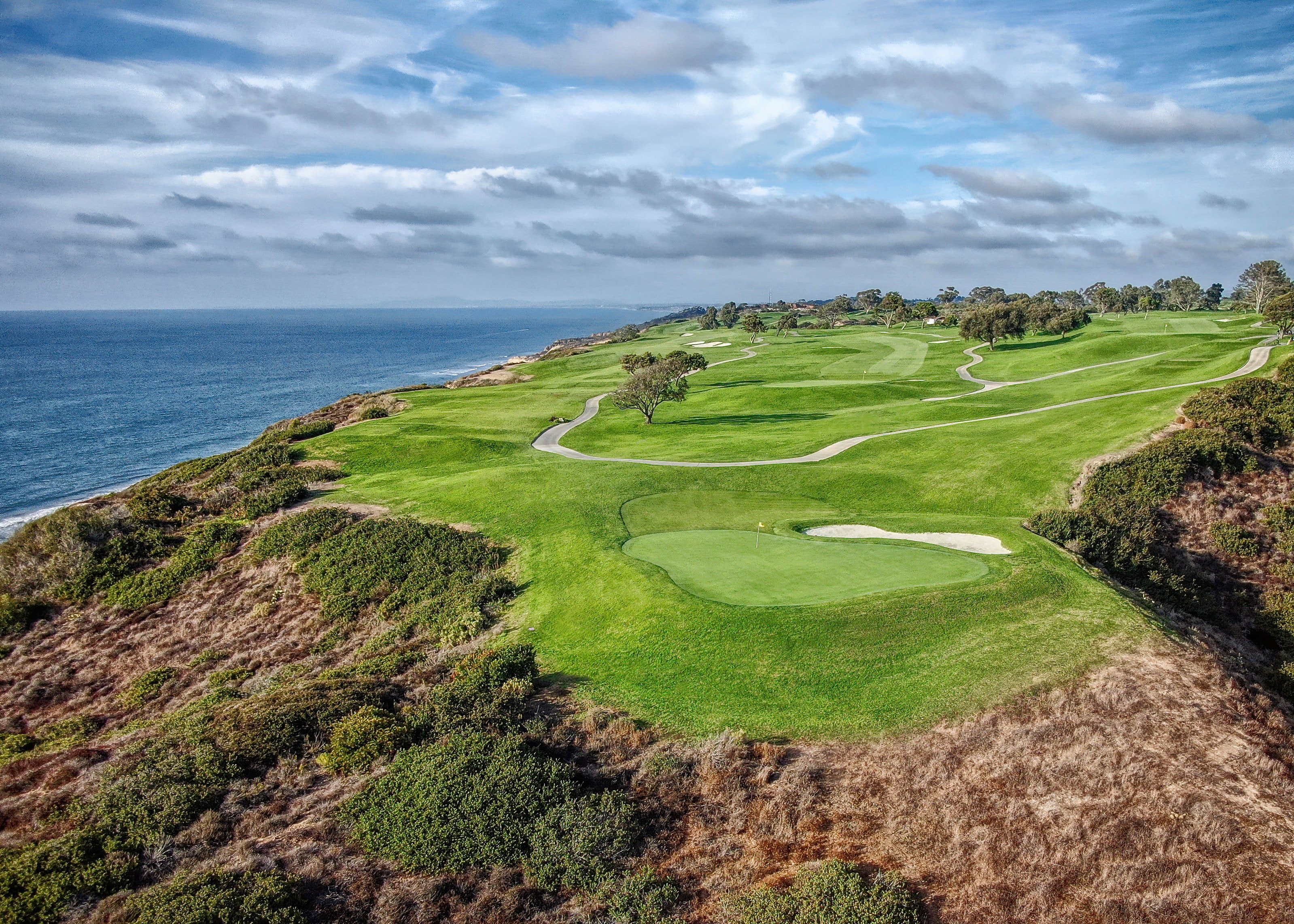 Torrey Pines Torrey Pines