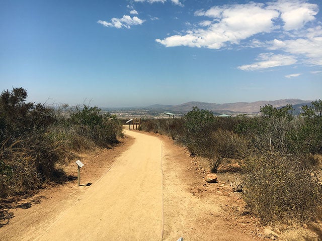 Photo of hiking trail