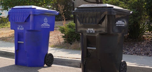 Trash bins by the curb waiting for collection