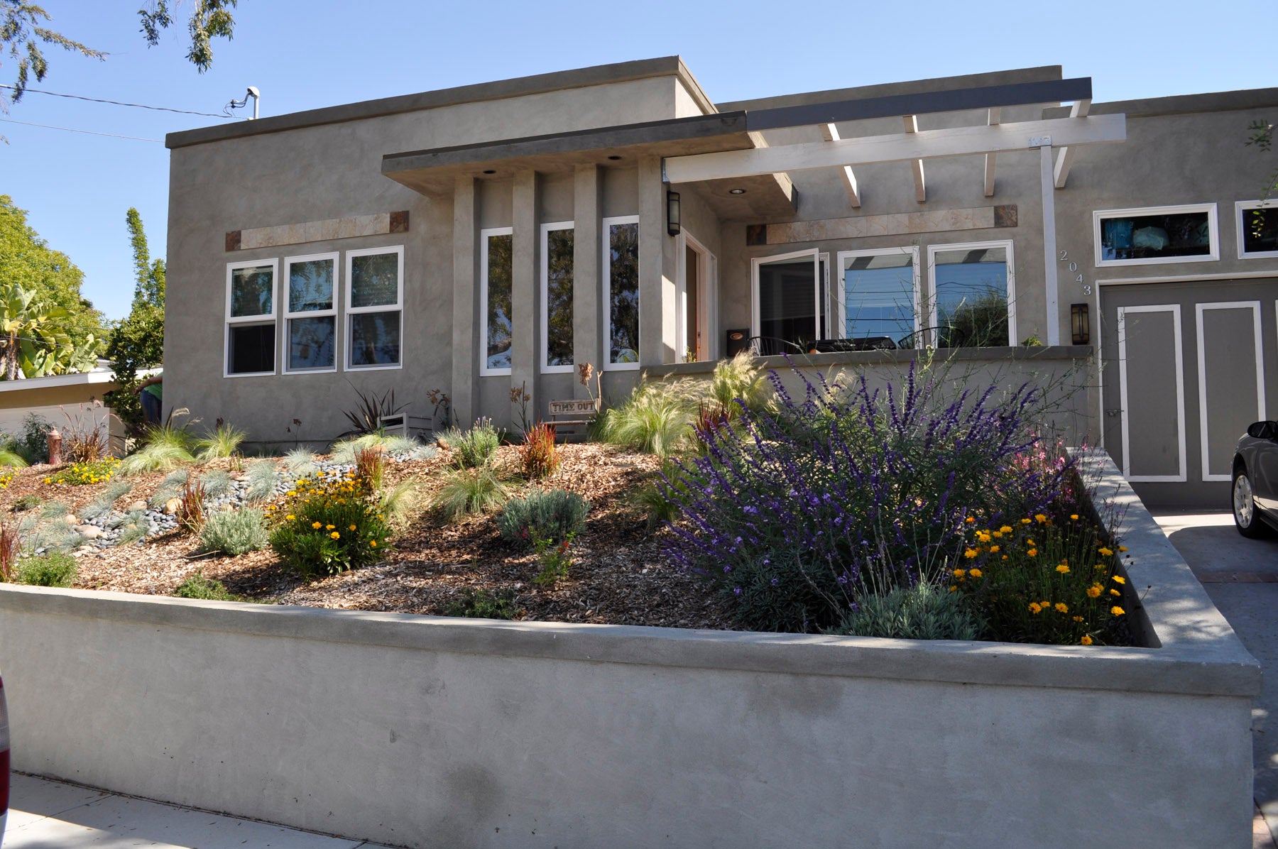 drought tolerant front yard