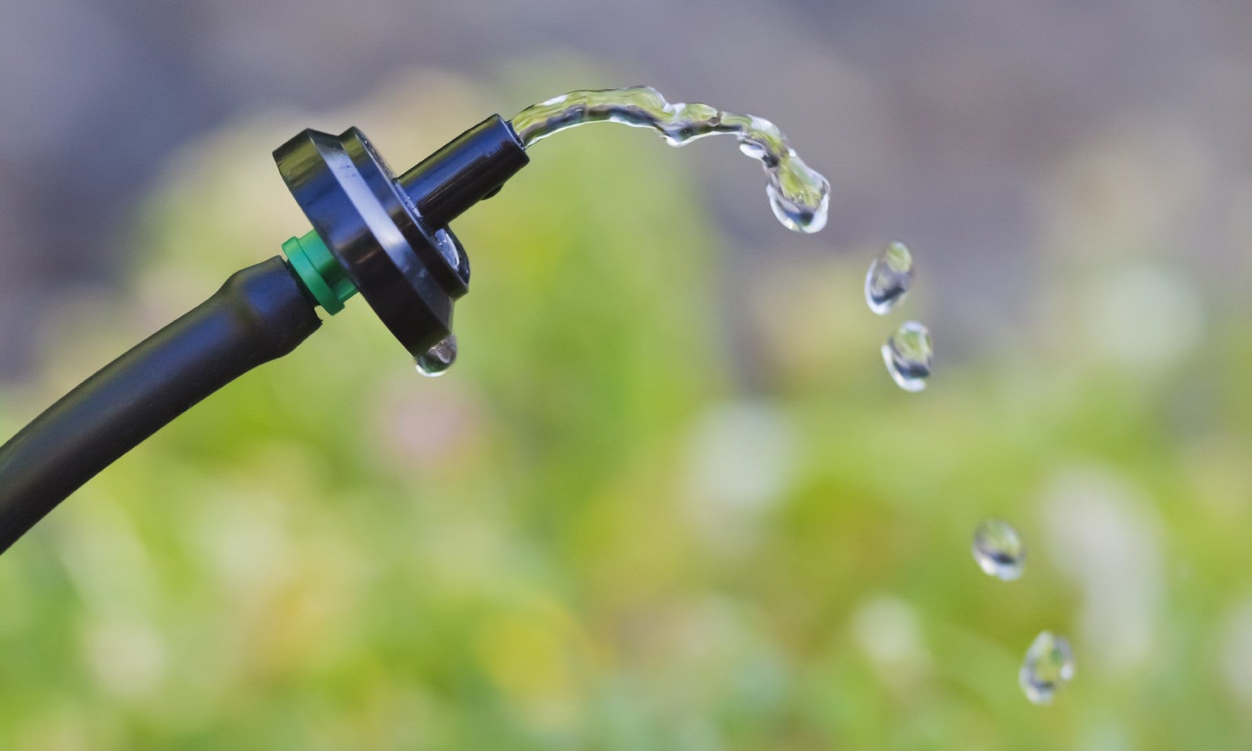 a drip sprinkler head outdoors