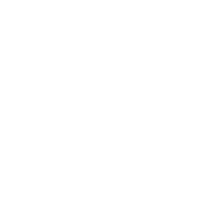 Water Wise City Logo