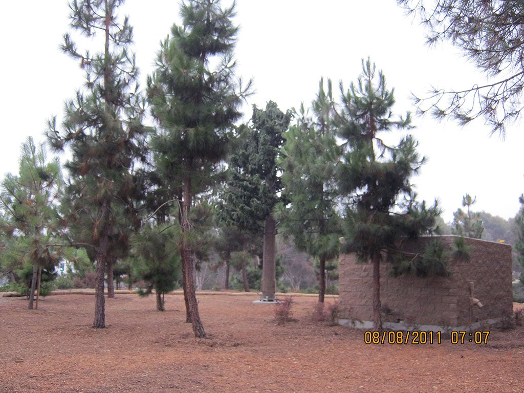 Wireless communication facility at Scripps Green location