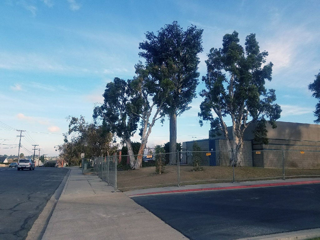 Wireless communication facility at Skyline location